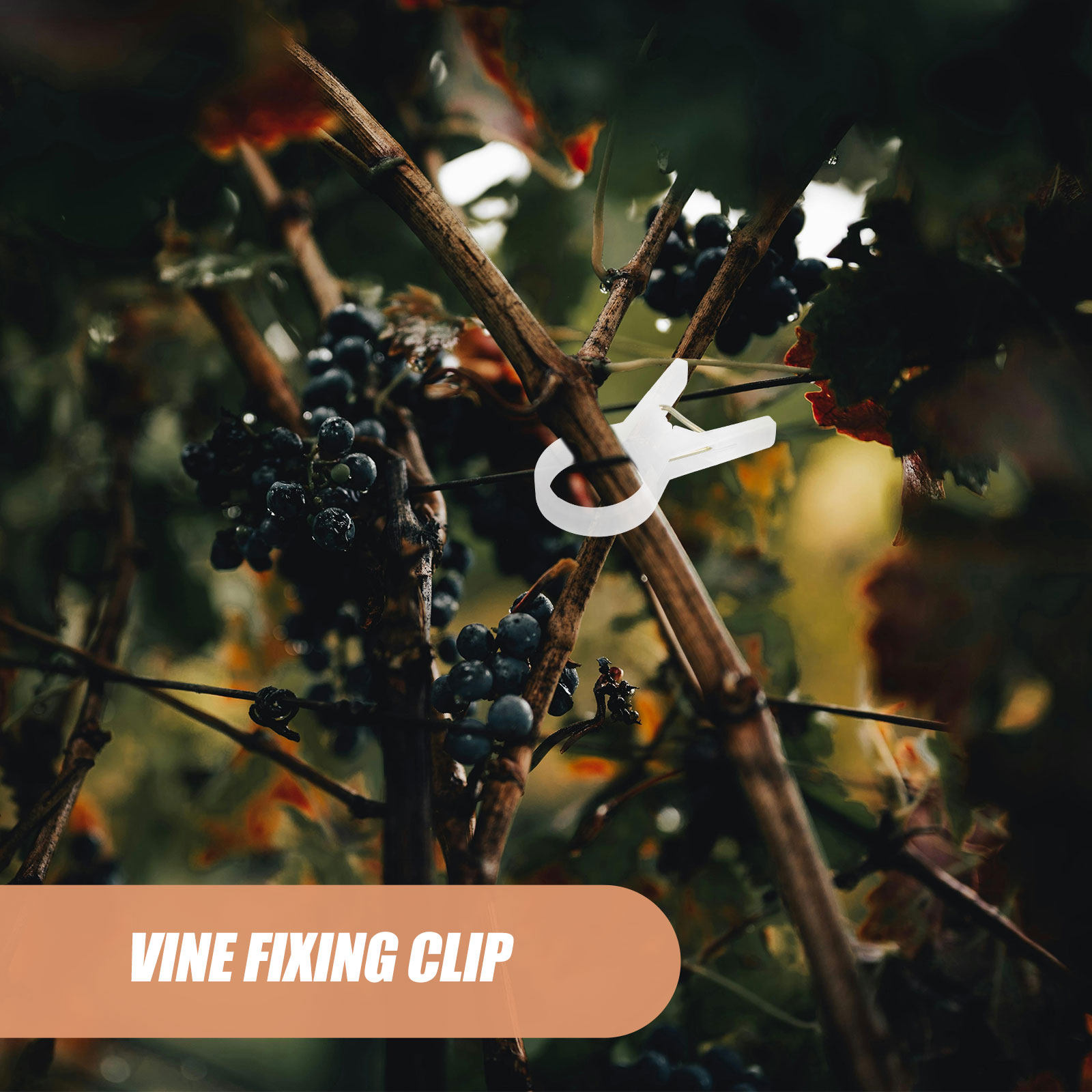 Vine Climbing Plastic - 100Pcs Plant Support Clips Plastic Lightweight