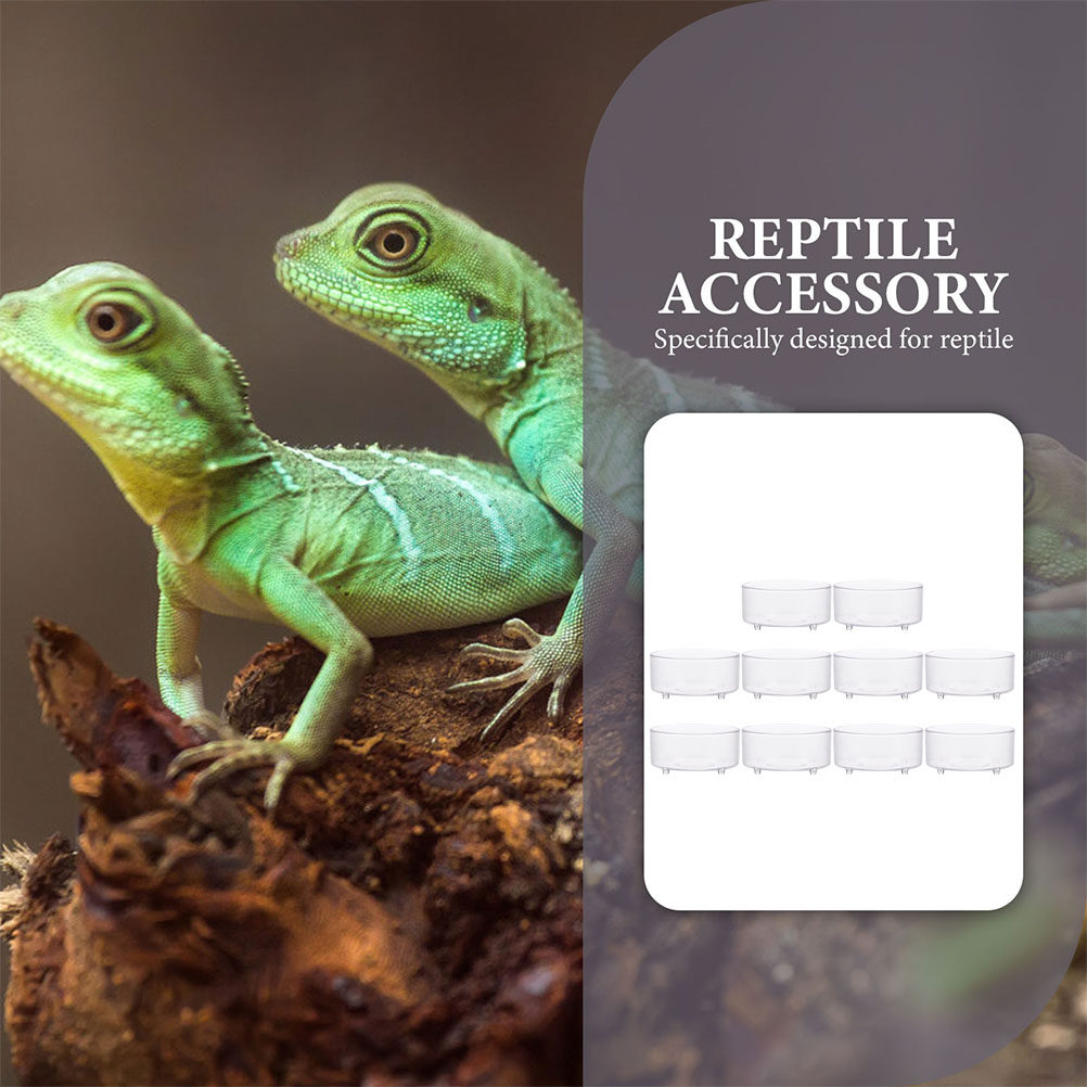 10Pcs Acrylic Reptile Food Dis - Water Dish Reptile ulasan dan harga