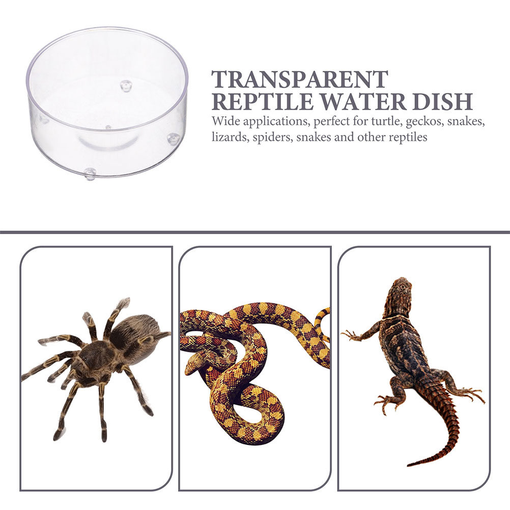 10Pcs Acrylic Reptile Food Dis - Water Dish Reptile ulasan dan harga