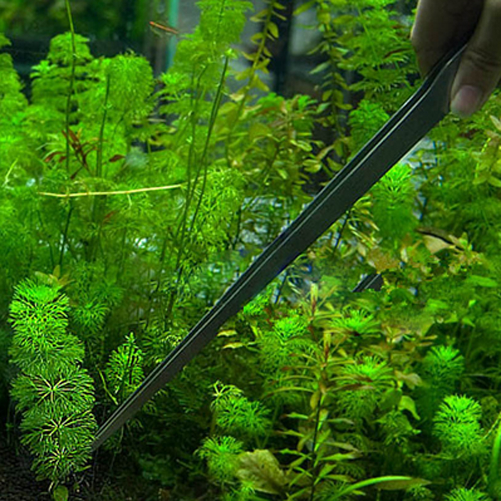 10.5 Inch Aquarium Tweezers St - Feeding Tong Stainless ulasan dan harga