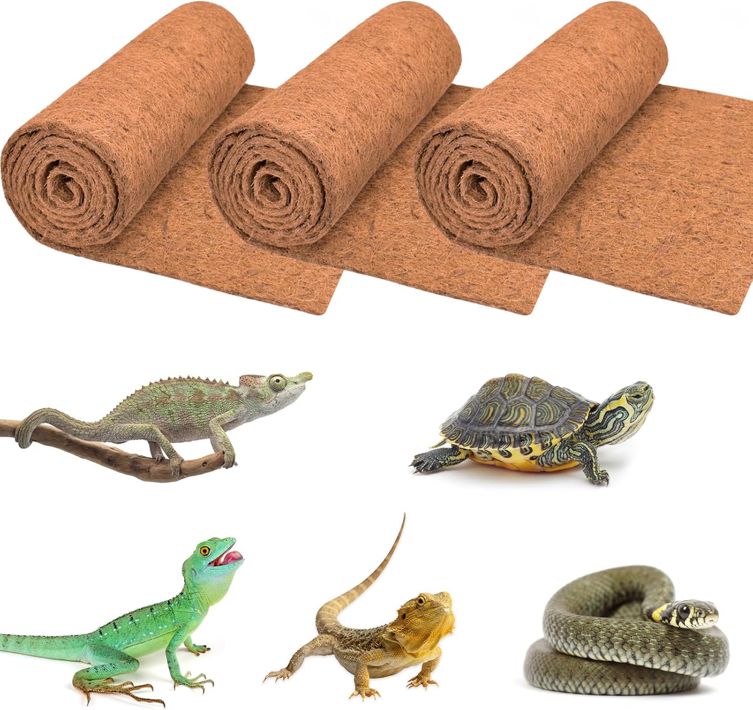 3 Rolls Reptile Carpet, 24x48i - Substrate Coconut Fiber ulasan dan harga
