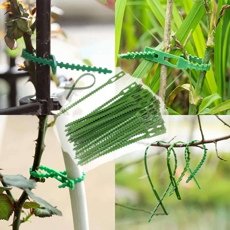 100PCS reusable adjustable pla - Vine Climbing Plastic ulasan dan harga