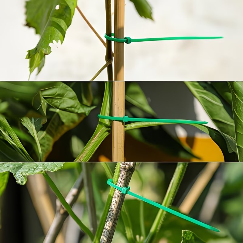 50-300pcs Adjustable Plastic P - Vine Climbing Plastic ulasan dan harga