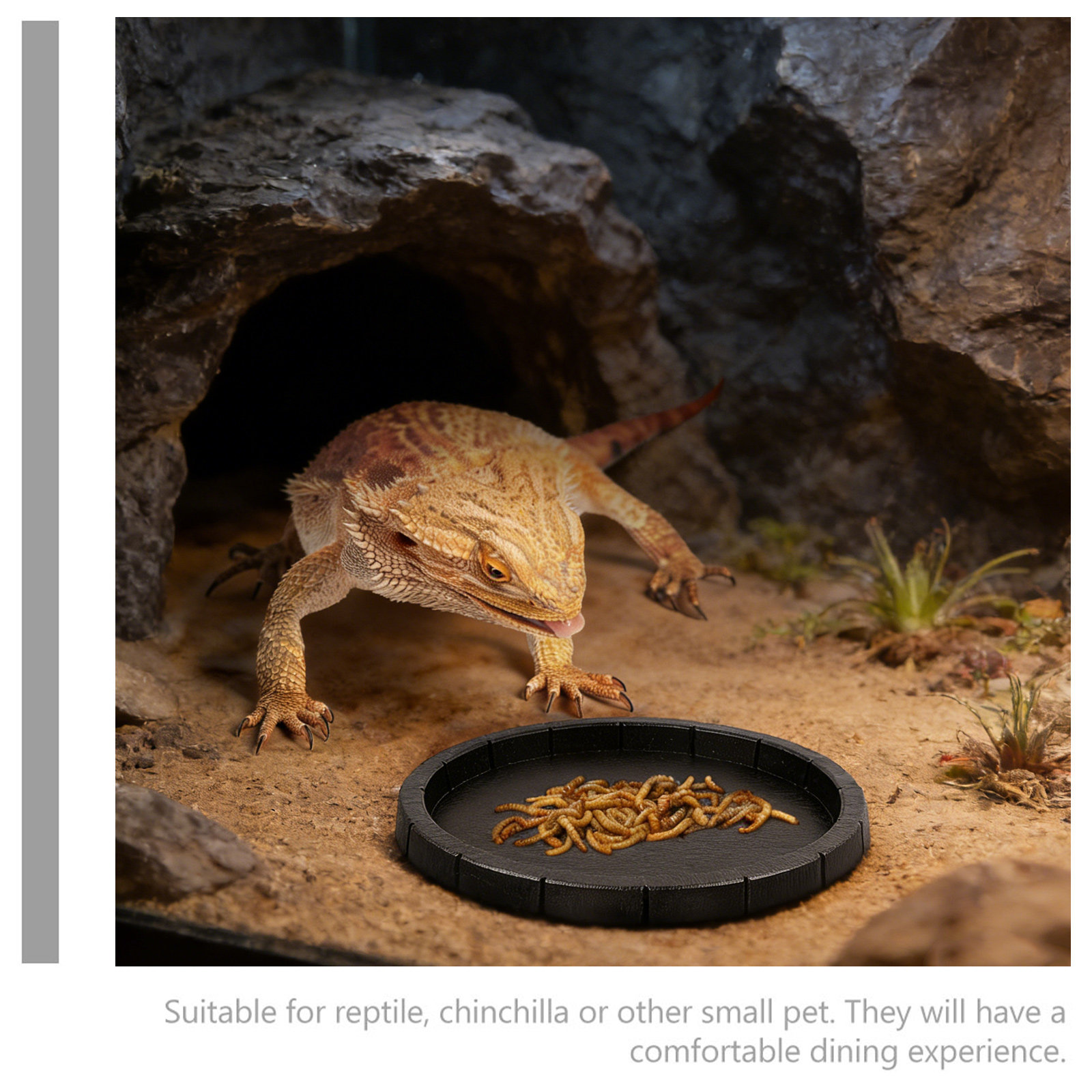 Reptile Feeding Bowl Compact L - Water Dish Reptile ulasan dan harga