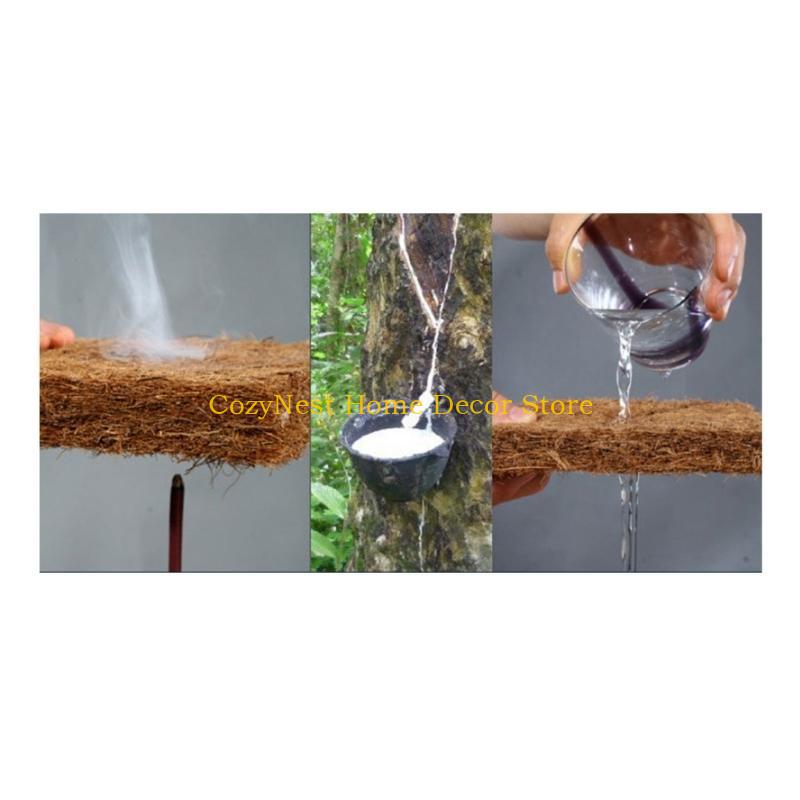92MF Terrariums Substrate Line - Substrate Coconut Fiber ulasan dan harga