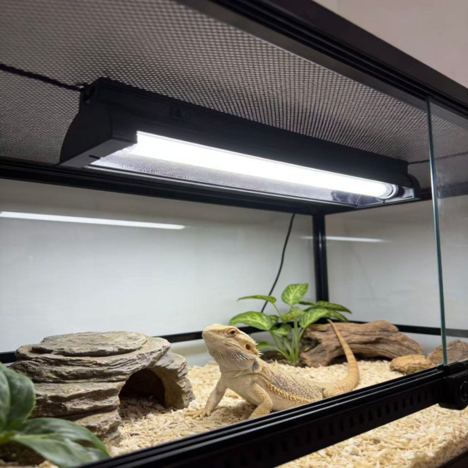 T5 UVB Reptile Light Fixture K - Calcium Powder Reptile ulasan dan harga