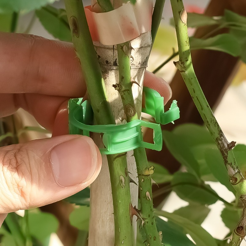 10-500Pcs Garden Plant Support - Vine Climbing Plastic ulasan dan harga