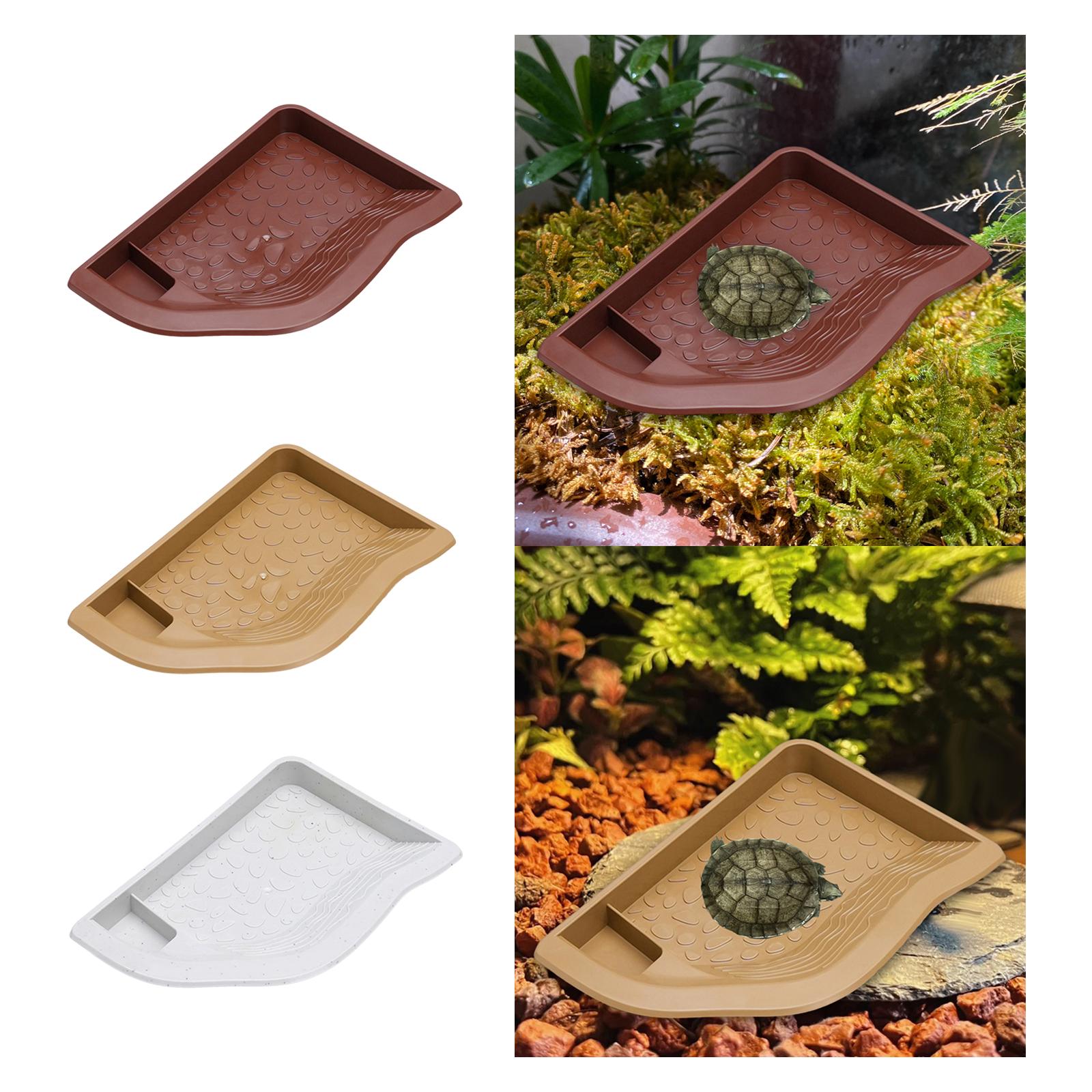 Reptile Pool Water Dish, Torto - Water Dish Reptile ulasan dan harga