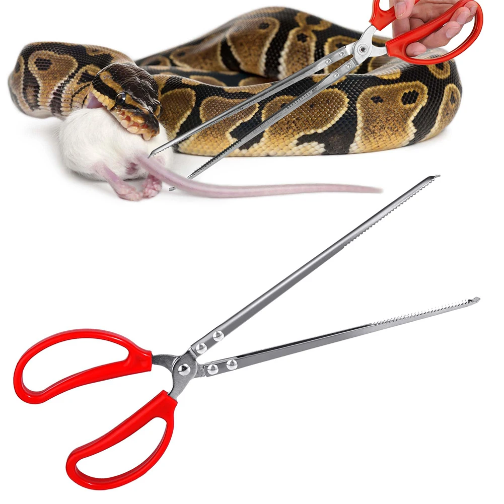 Snake Feeding Tongs Reptile Fe - Water Dish Reptile ulasan dan harga