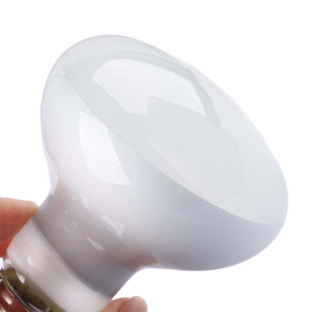 Amphibians Temperature Control - Basking Bulb Halogen ulasan dan harga