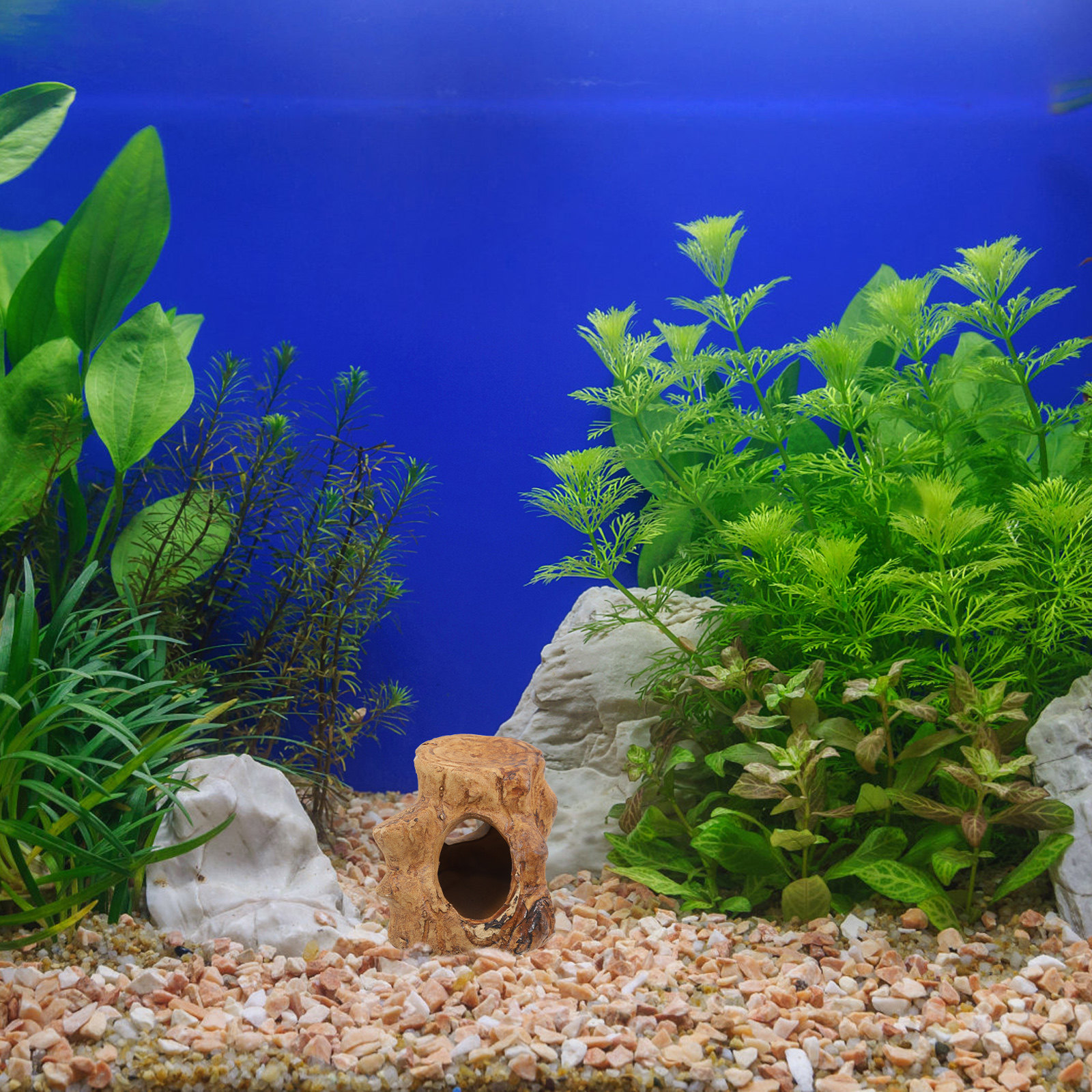 Pleco Caves Fish Tank Decorati - Hide Cave Ceramic ulasan dan harga