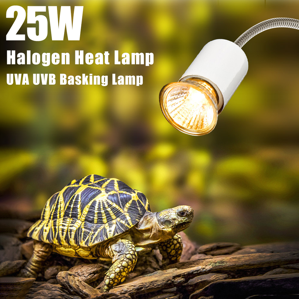 25W Halogen Heat Lamp UVA UVB  - Basking Bulb Halogen ulasan dan harga