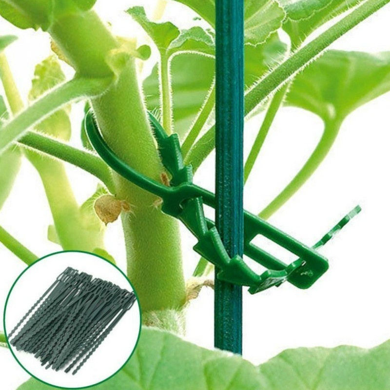 50Pcs Reusable Adjustable Plas - Vine Climbing Plastic ulasan dan harga