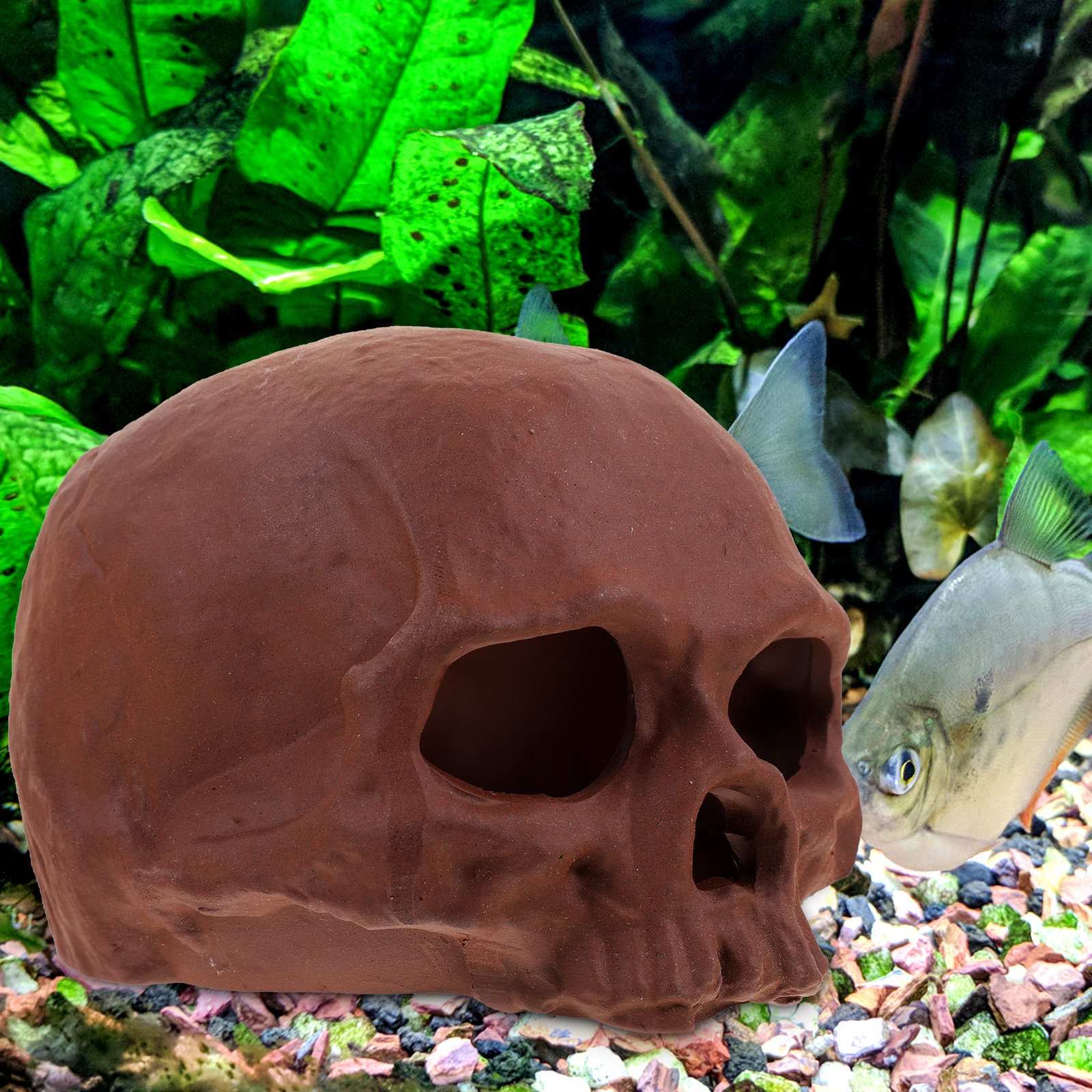 Ceramic Fish Tank Decoration S - Hide Cave Ceramic ulasan dan harga