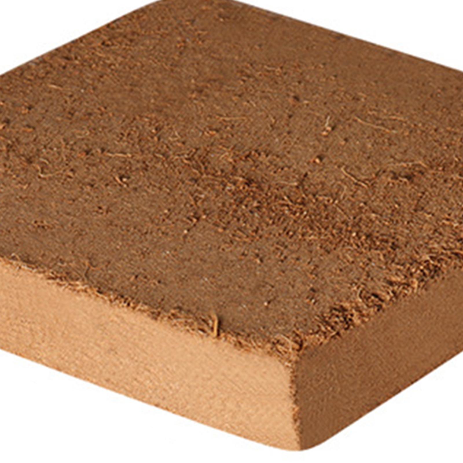 Soil Coconut Fibre Terrarium S - Substrate Coconut Fiber ulasan dan harga