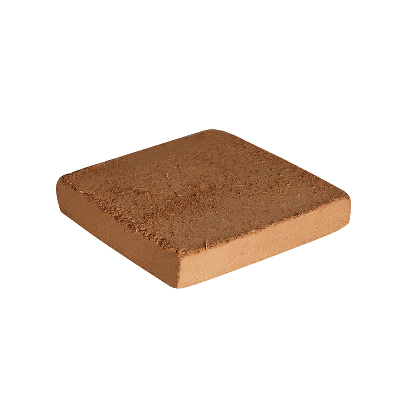 Soil Coconut Fibre Terrarium S - Substrate Coconut Fiber ulasan dan harga