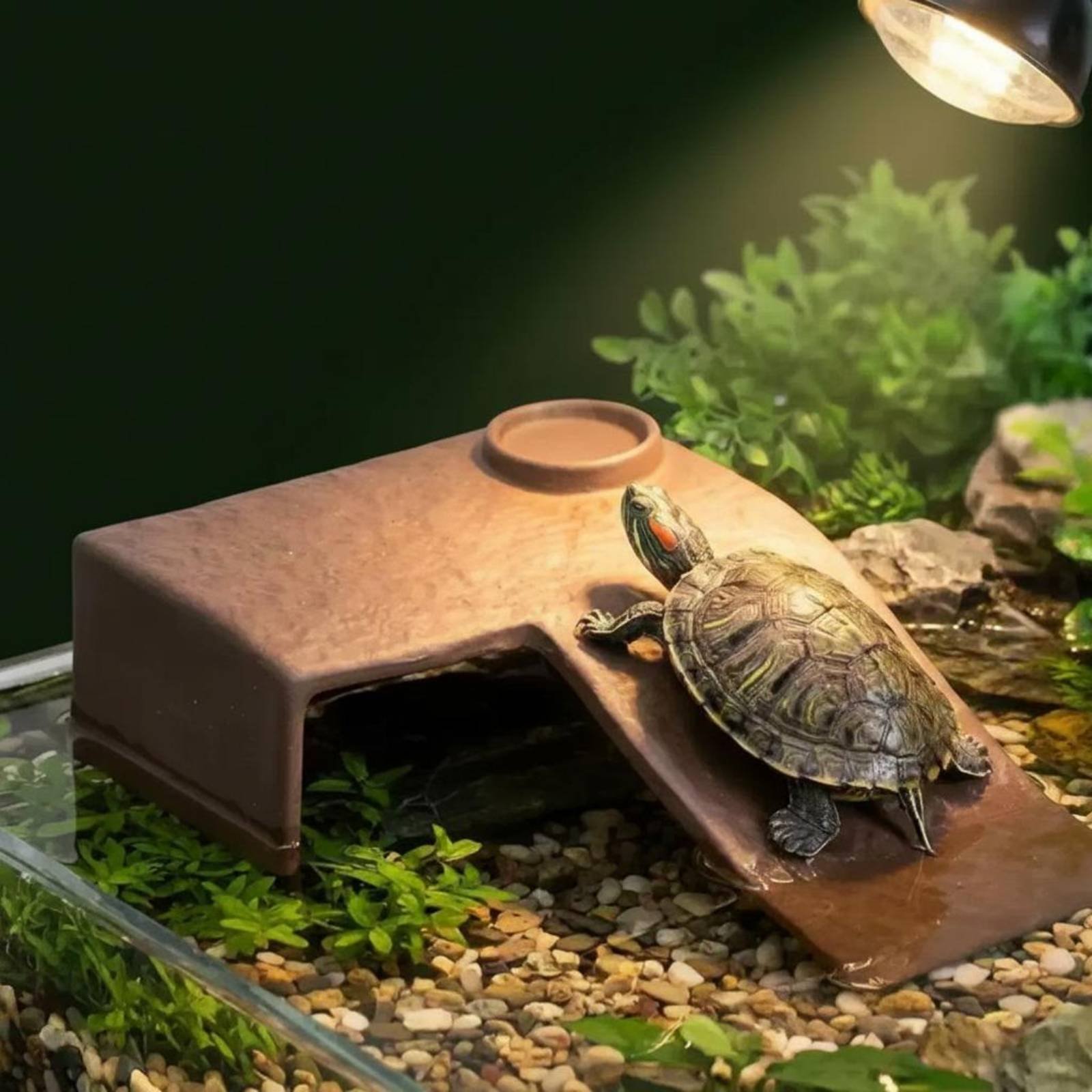 2 Pieces Turtle Basking Dock E - Hide Cave Ceramic ulasan dan harga